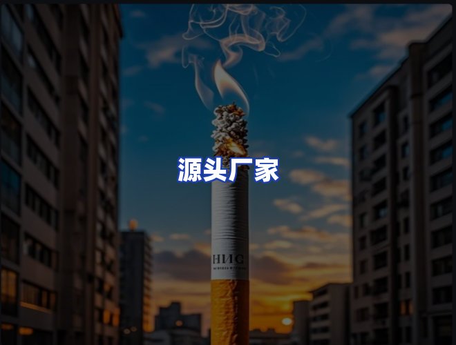 专业团队